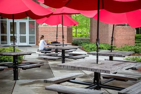 picnic-table