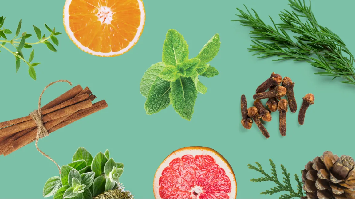 Essential Oils 101: Finding the Right One for You